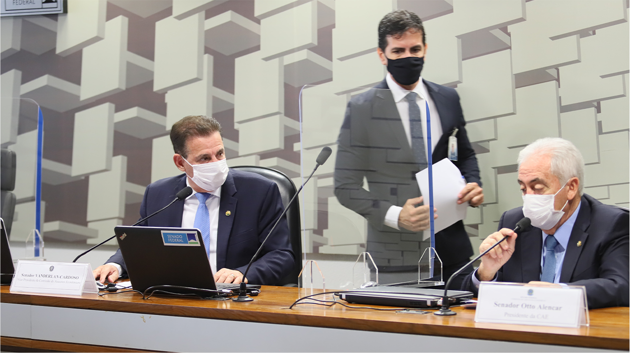imagem da seção